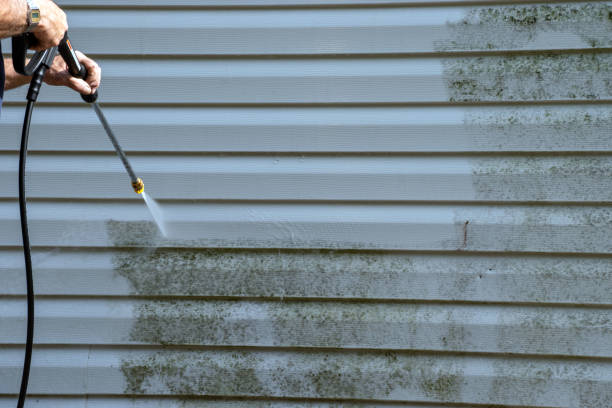Best Hoarding Cleanup  in Dover Plains, NY